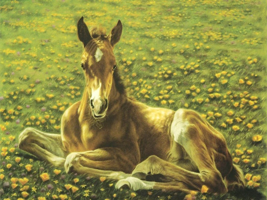 299700 (a): :1024x768